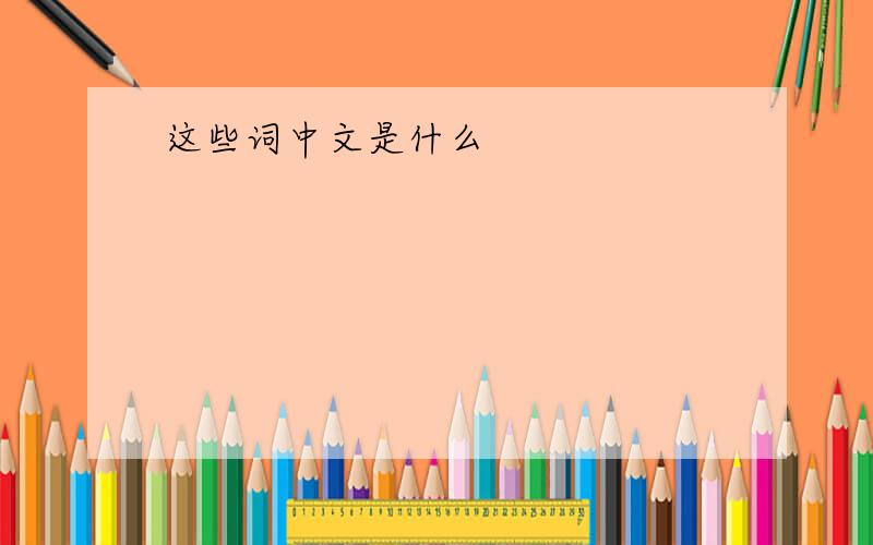 这些词中文是什么