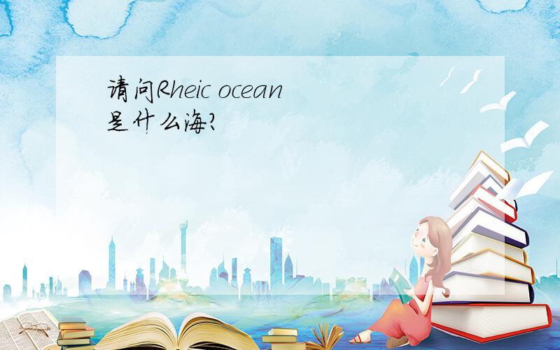 请问Rheic ocean 是什么海?