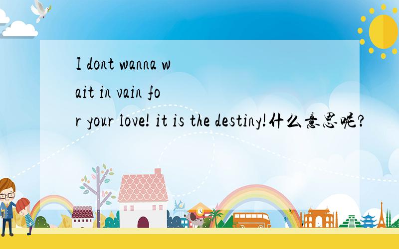 I dont wanna wait in vain for your love! it is the destiny!什么意思呢?