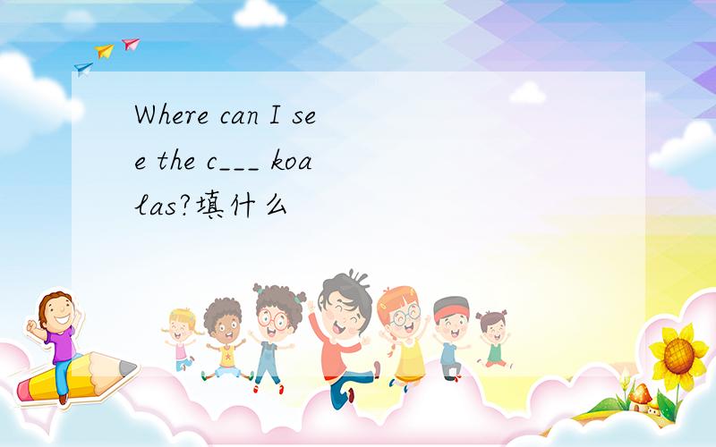 Where can I see the c___ koalas?填什么