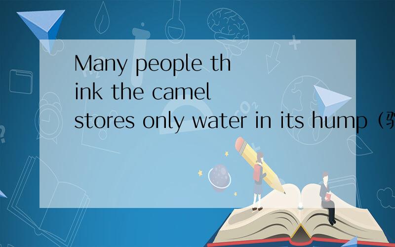 Many people think the camel stores only water in its hump（驼峰）,but it does not,Instead,the camel