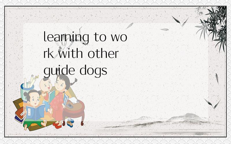 learning to work with other guide dogs