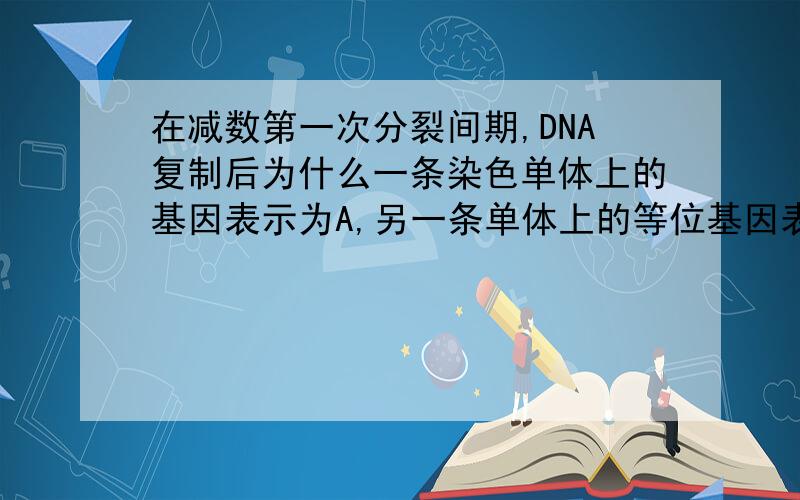 在减数第一次分裂间期,DNA复制后为什么一条染色单体上的基因表示为A,另一条单体上的等位基因表示为aDNA复制不应该是完全相同吗额还有性染色体 ZW的话。会不会复制出zw...那是什么