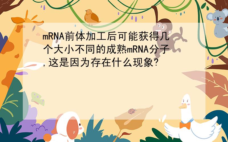 mRNA前体加工后可能获得几个大小不同的成熟mRNA分子,这是因为存在什么现象?