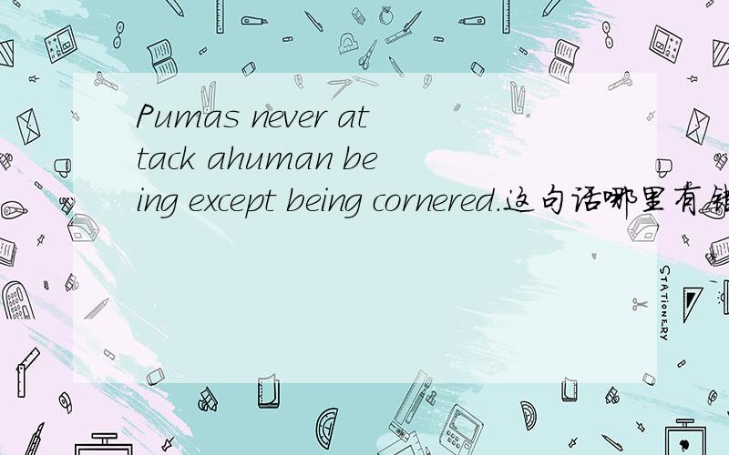 Pumas never attack ahuman being except being cornered.这句话哪里有错误,为什么错