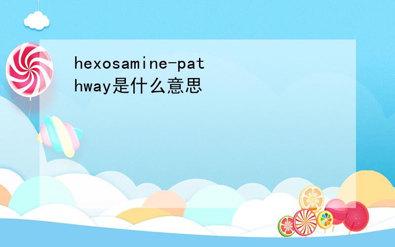hexosamine-pathway是什么意思