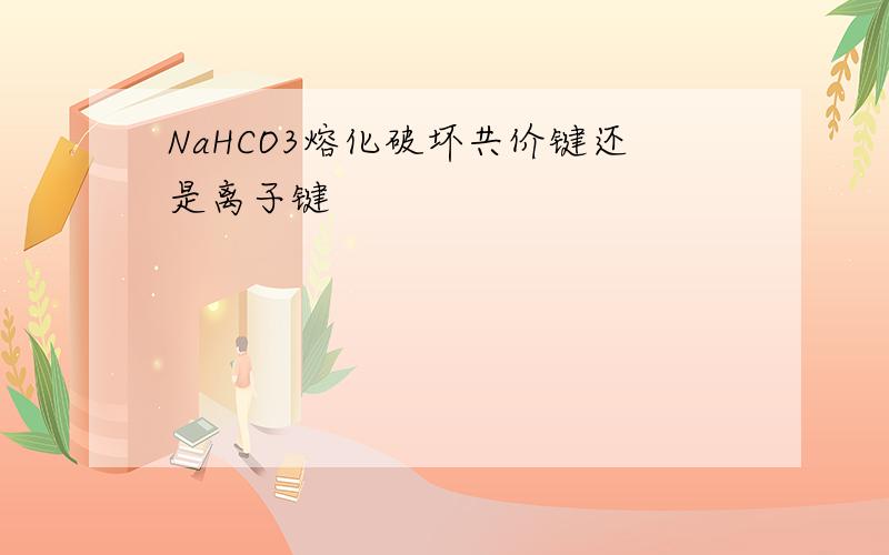 NaHCO3熔化破坏共价键还是离子键