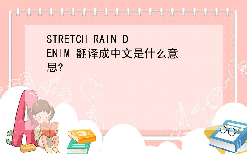 STRETCH RAIN DENIM 翻译成中文是什么意思?
