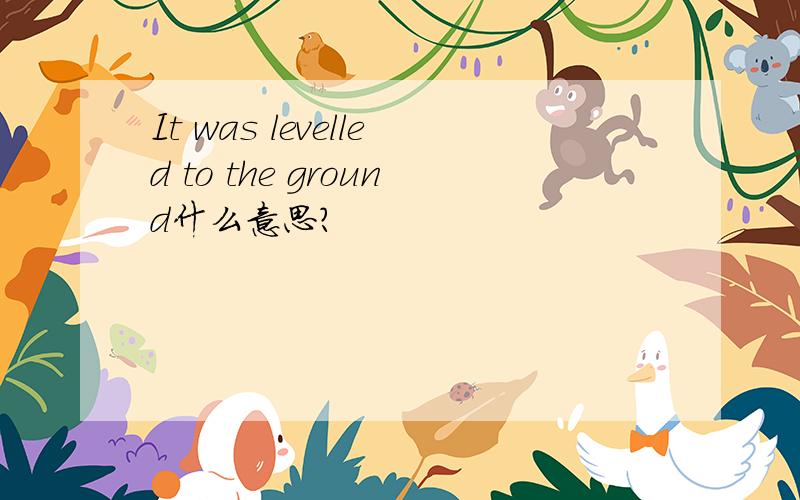 It was levelled to the ground什么意思?