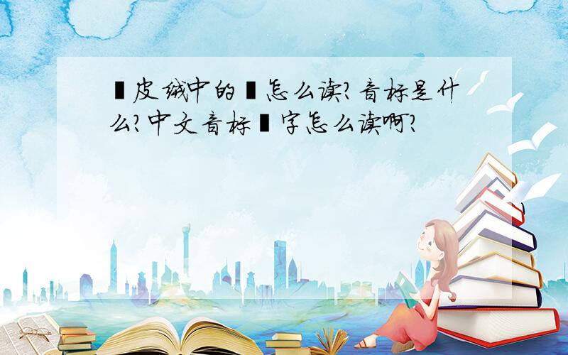 麂皮绒中的麂怎么读?音标是什么?中文音标麂字怎么读啊？