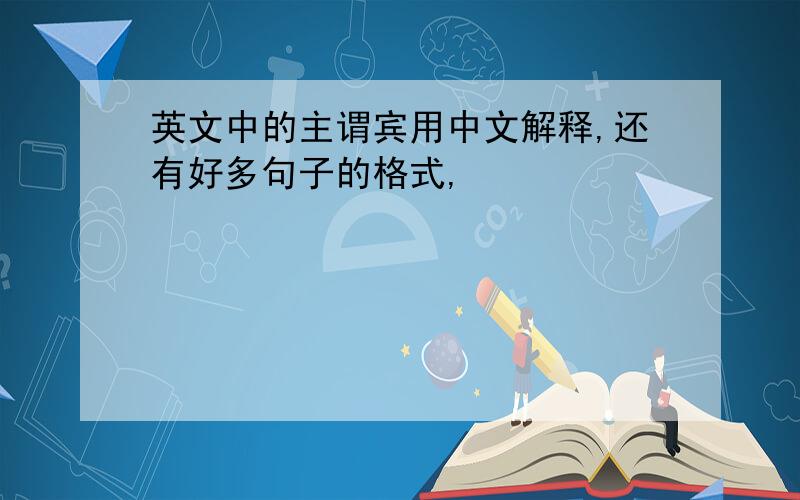 英文中的主谓宾用中文解释,还有好多句子的格式,