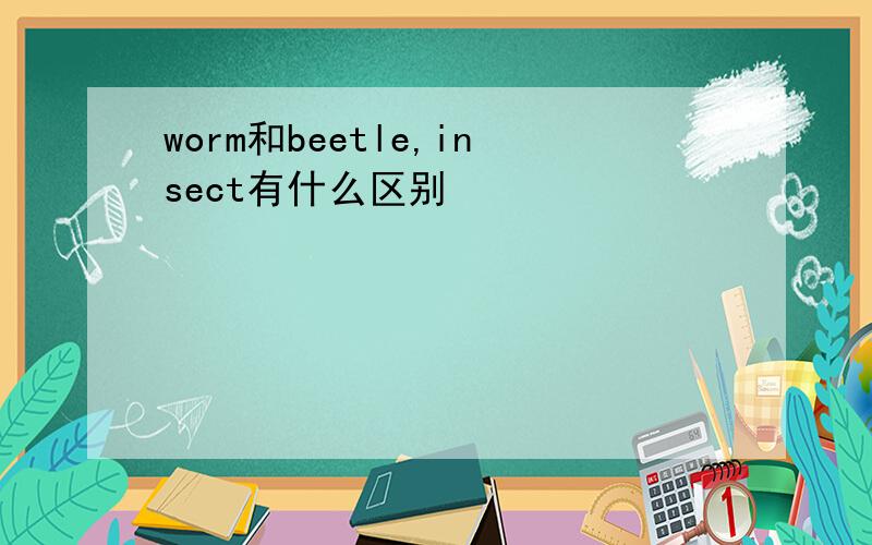 worm和beetle,insect有什么区别