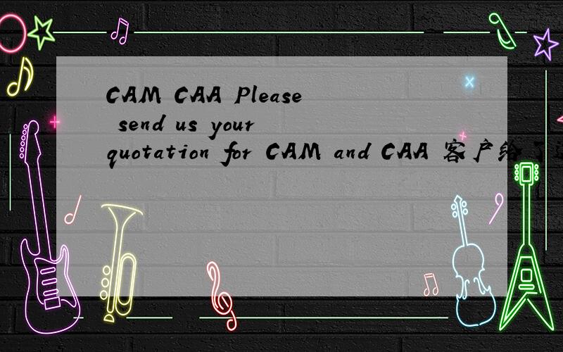 CAM CAA Please send us your quotation for CAM and CAA 客户给了这句话,是啥意思呢,没见过,