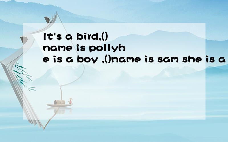 lt's a bird,()name is pollyhe is a boy ,()name is sam she is a girl  ()name is lily