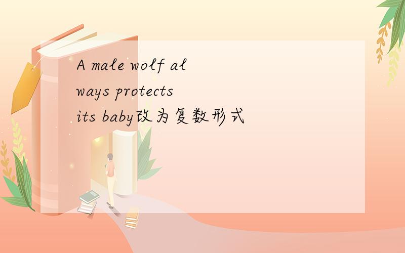 A male wolf always protects its baby改为复数形式
