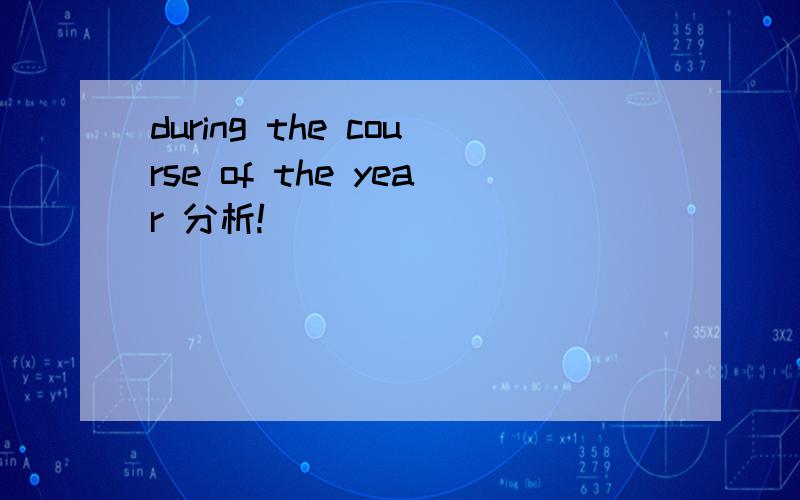 during the course of the year 分析!