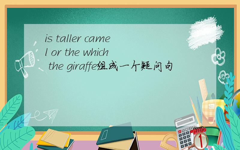 is taller camel or the which the giraffe组成一个疑问句
