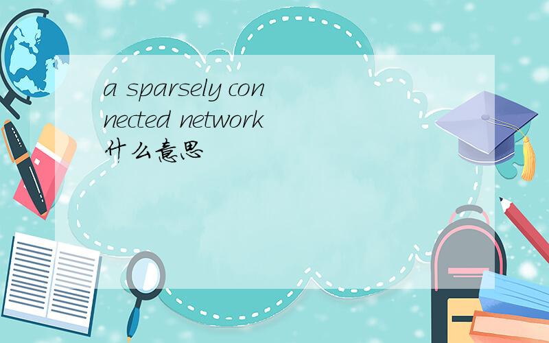 a sparsely connected network什么意思