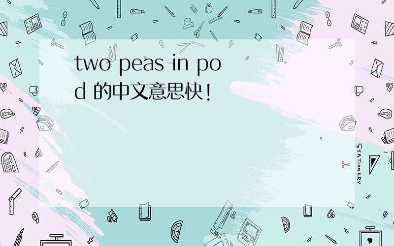 two peas in pod 的中文意思快!