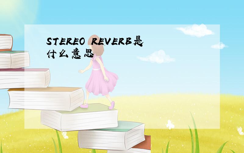 STEREO REVERB是什么意思