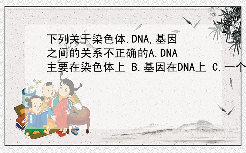 下列关于染色体,DNA,基因之间的关系不正确的A.DNA主要在染色体上 B.基因在DNA上 C.一个DNA上有多个基因 D.一个染色体有多个DNA