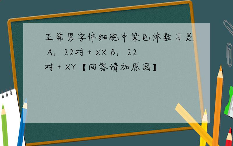 正常男字体细胞中染色体数目是 A：22对＋XX B：22对＋XY【回答请加原因】