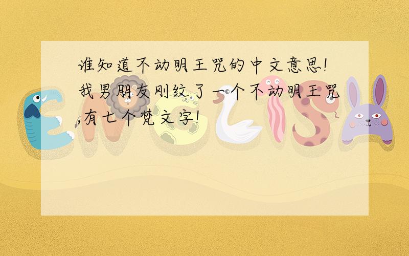 谁知道不动明王咒的中文意思!我男朋友刚纹了一个不动明王咒,有七个梵文字!
