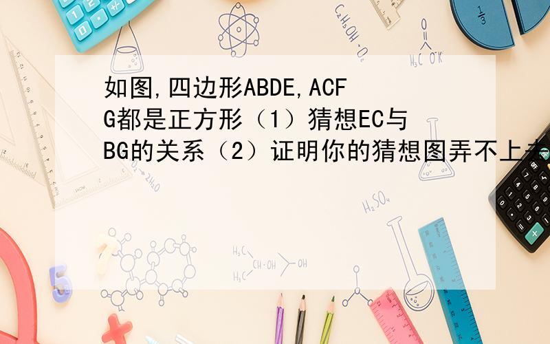 如图,四边形ABDE,ACFG都是正方形（1）猜想EC与BG的关系（2）证明你的猜想图弄不上去啊