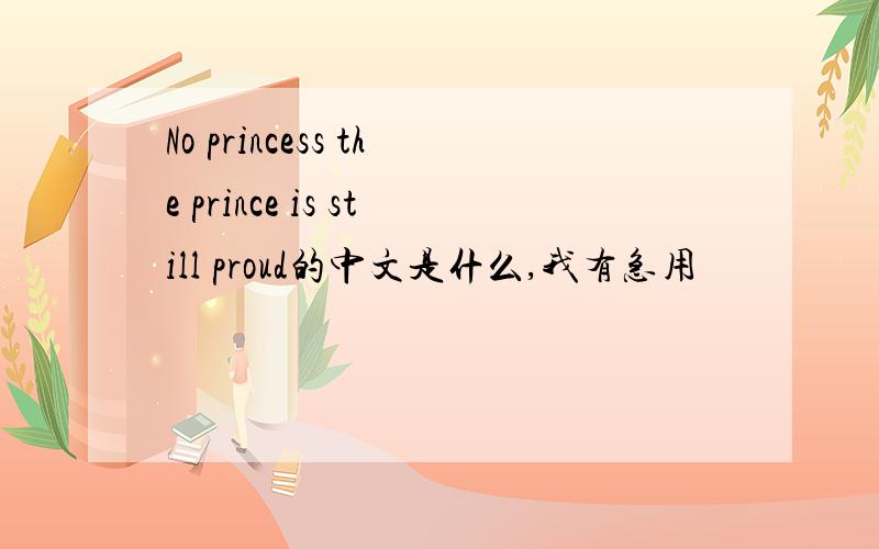 No princess the prince is still proud的中文是什么,我有急用