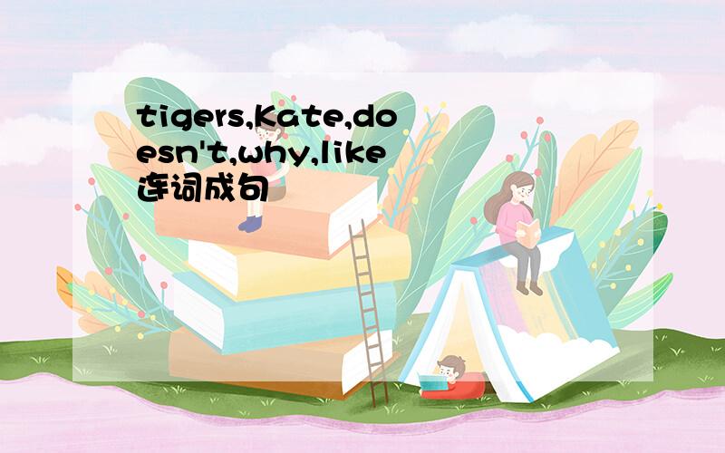 tigers,Kate,doesn't,why,like连词成句