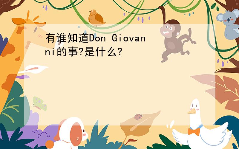 有谁知道Don Giovanni的事?是什么?