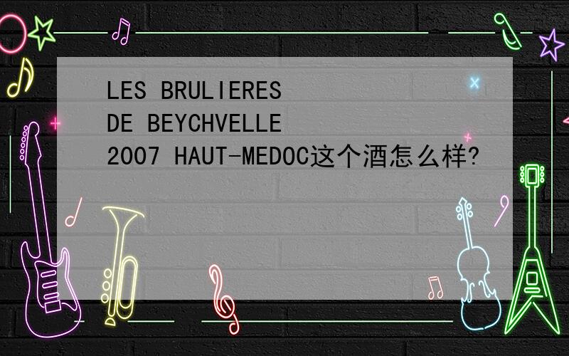 LES BRULIERES DE BEYCHVELLE 2007 HAUT-MEDOC这个酒怎么样?