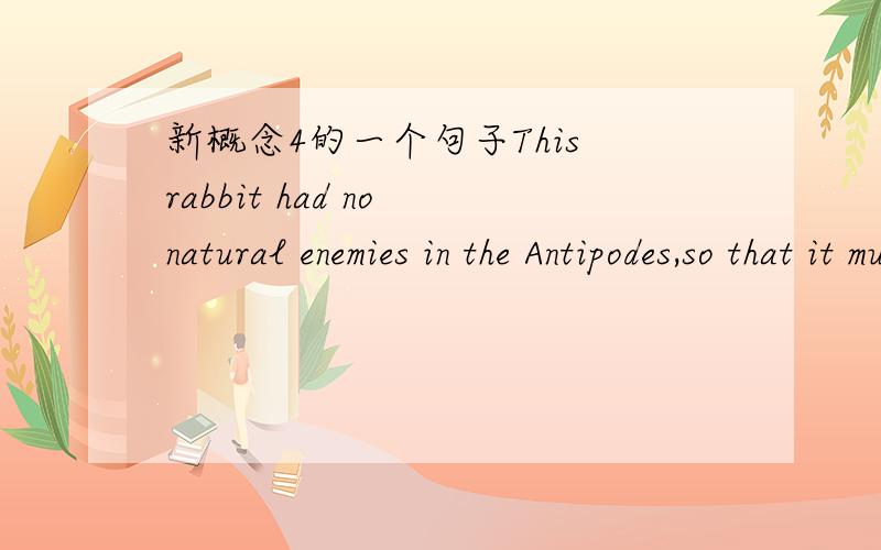 新概念4的一个句子This rabbit had no natural enemies in the Antipodes,so that it multiplied with that promiscuous abandon characteristic of rabbits介词后边的that引导的什么从句