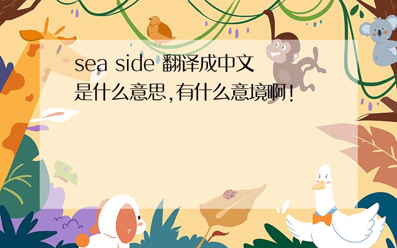 sea side 翻译成中文是什么意思,有什么意境啊!