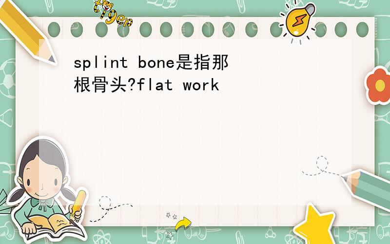 splint bone是指那根骨头?flat work