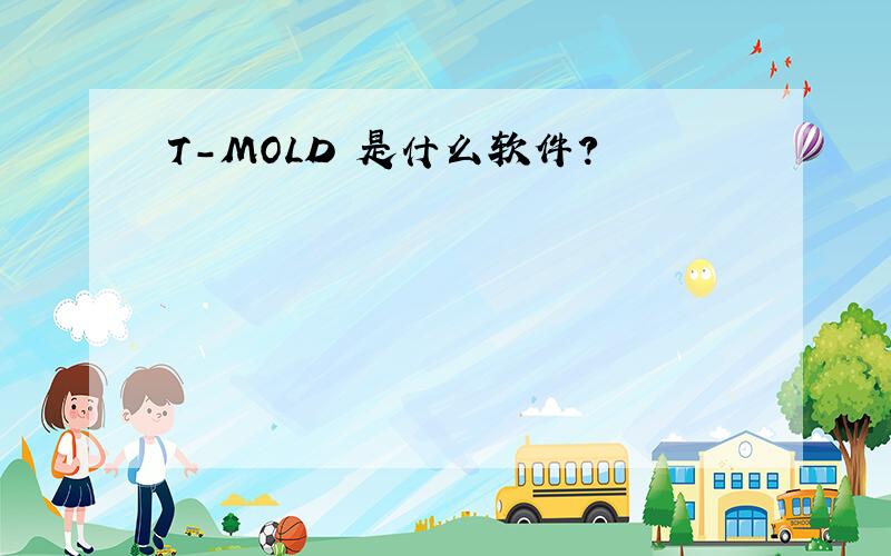 T-MOLD 是什么软件?