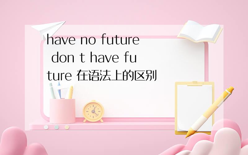 have no future don t have future 在语法上的区别