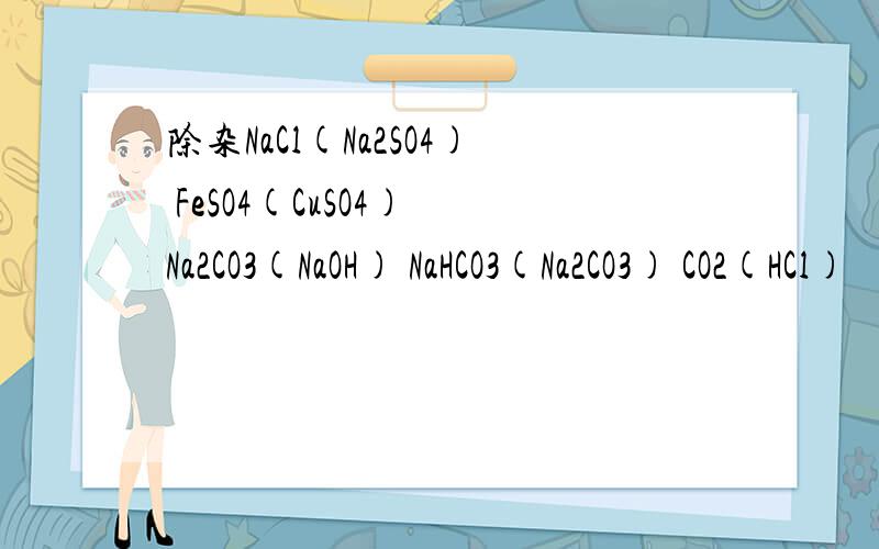 除杂NaCl(Na2SO4) FeSO4(CuSO4) Na2CO3(NaOH) NaHCO3(Na2CO3) CO2(HCl)