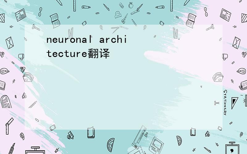 neuronal architecture翻译