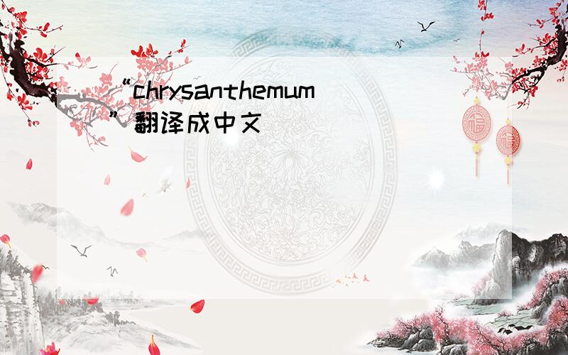 “chrysanthemum”翻译成中文