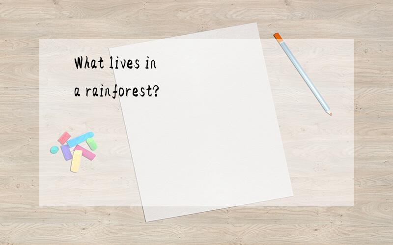 What lives in a rainforest?