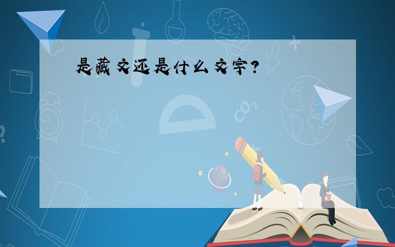 是藏文还是什么文字?