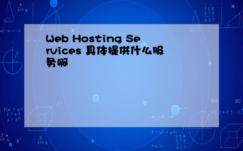 Web Hosting Services 具体提供什么服务啊