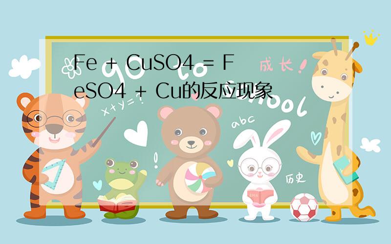 Fe + CuSO4 = FeSO4 + Cu的反应现象