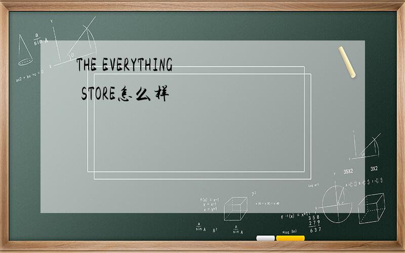 THE EVERYTHING STORE怎么样