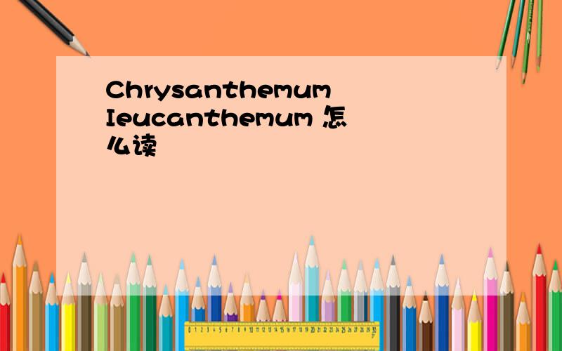 Chrysanthemum Ieucanthemum 怎么读