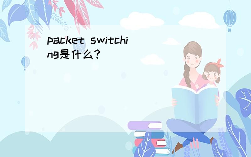 packet switching是什么?