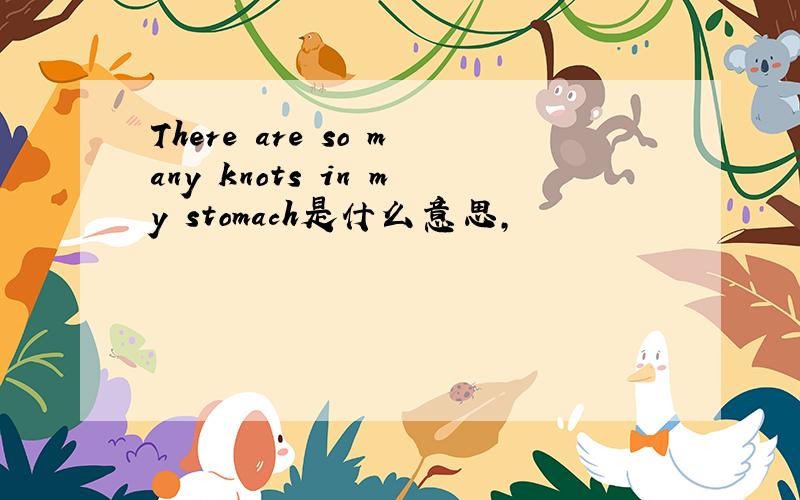 There are so many knots in my stomach是什么意思,