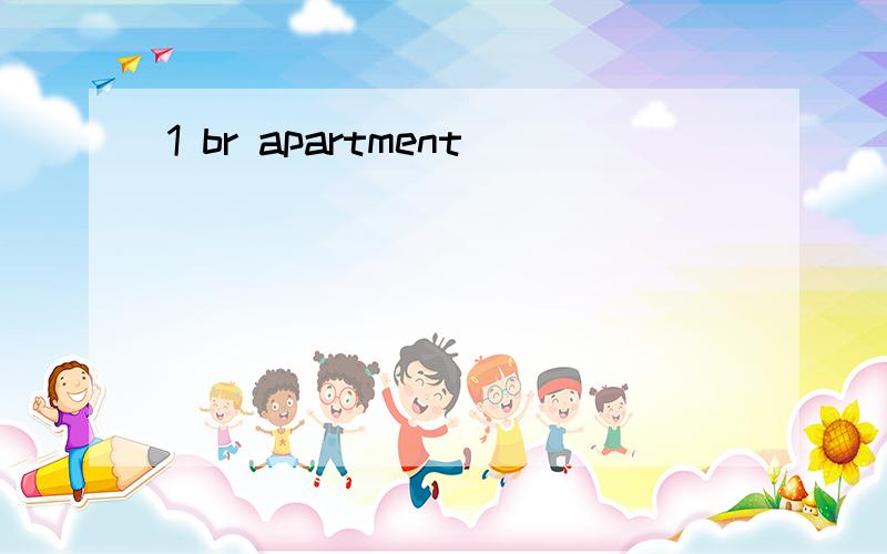 1 br apartment