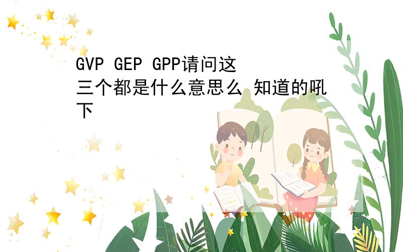 GVP GEP GPP请问这三个都是什么意思么 知道的吼下